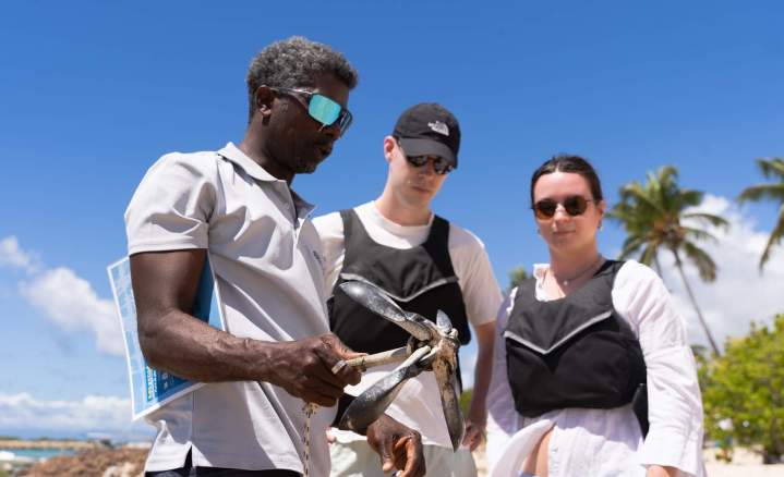 Learn to kitesurf in Guadeloupe